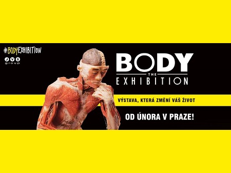 Body The Exhibition
