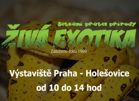 Živá Exotika